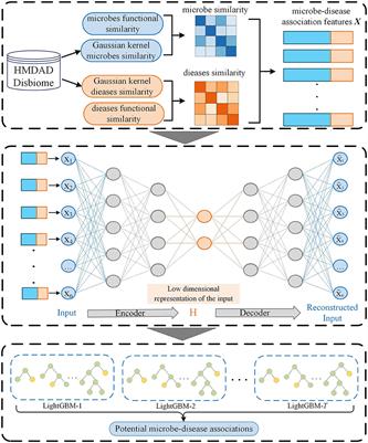 SAELGMDA: Identifying human microbe–disease associations based on sparse autoencoder and LightGBM